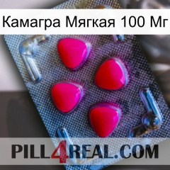 Камагра Мягкая 100 Мг 13